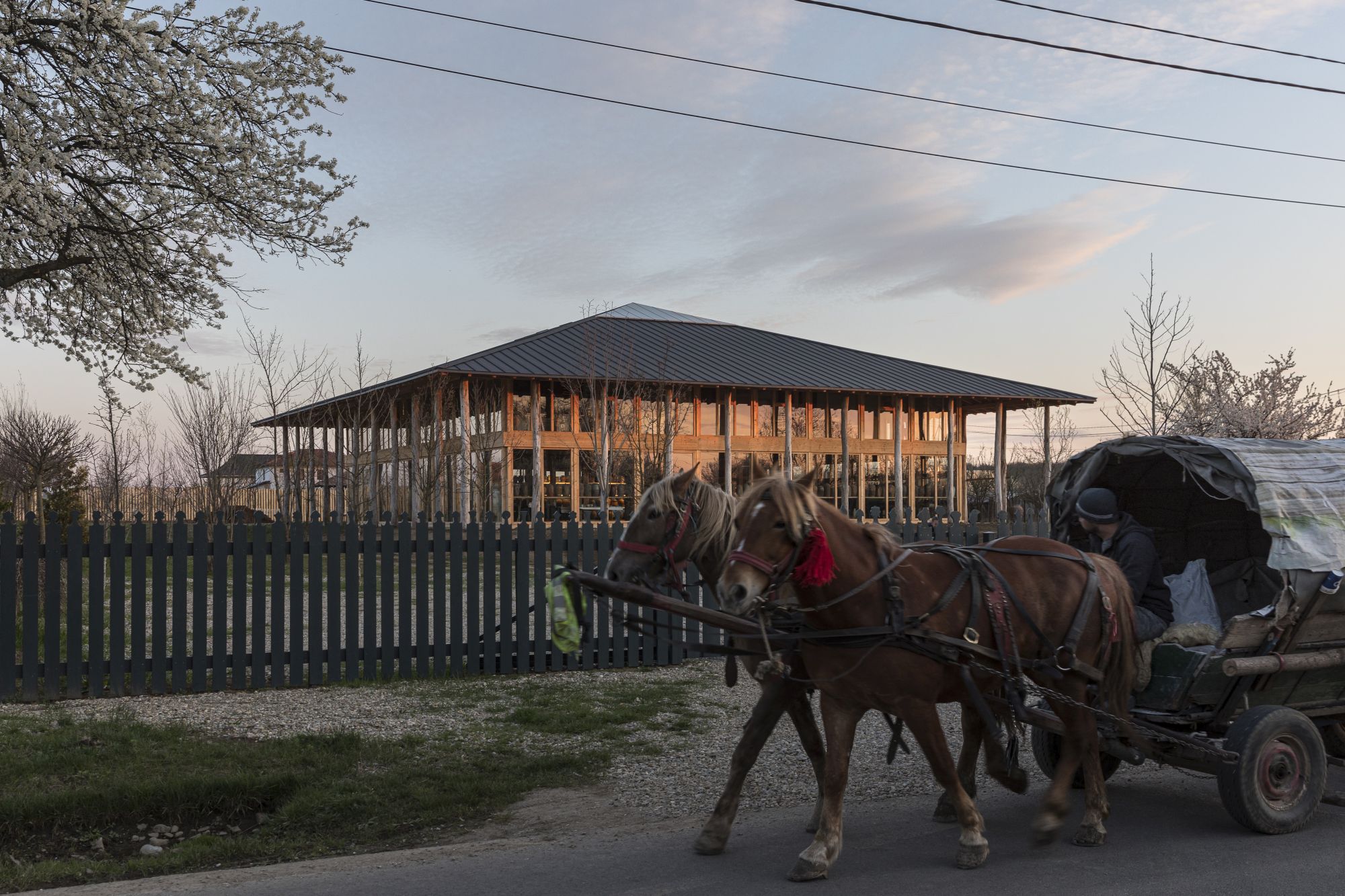 Revista Zeppelin #162 (vară 2021) – SG STUDIO SRL