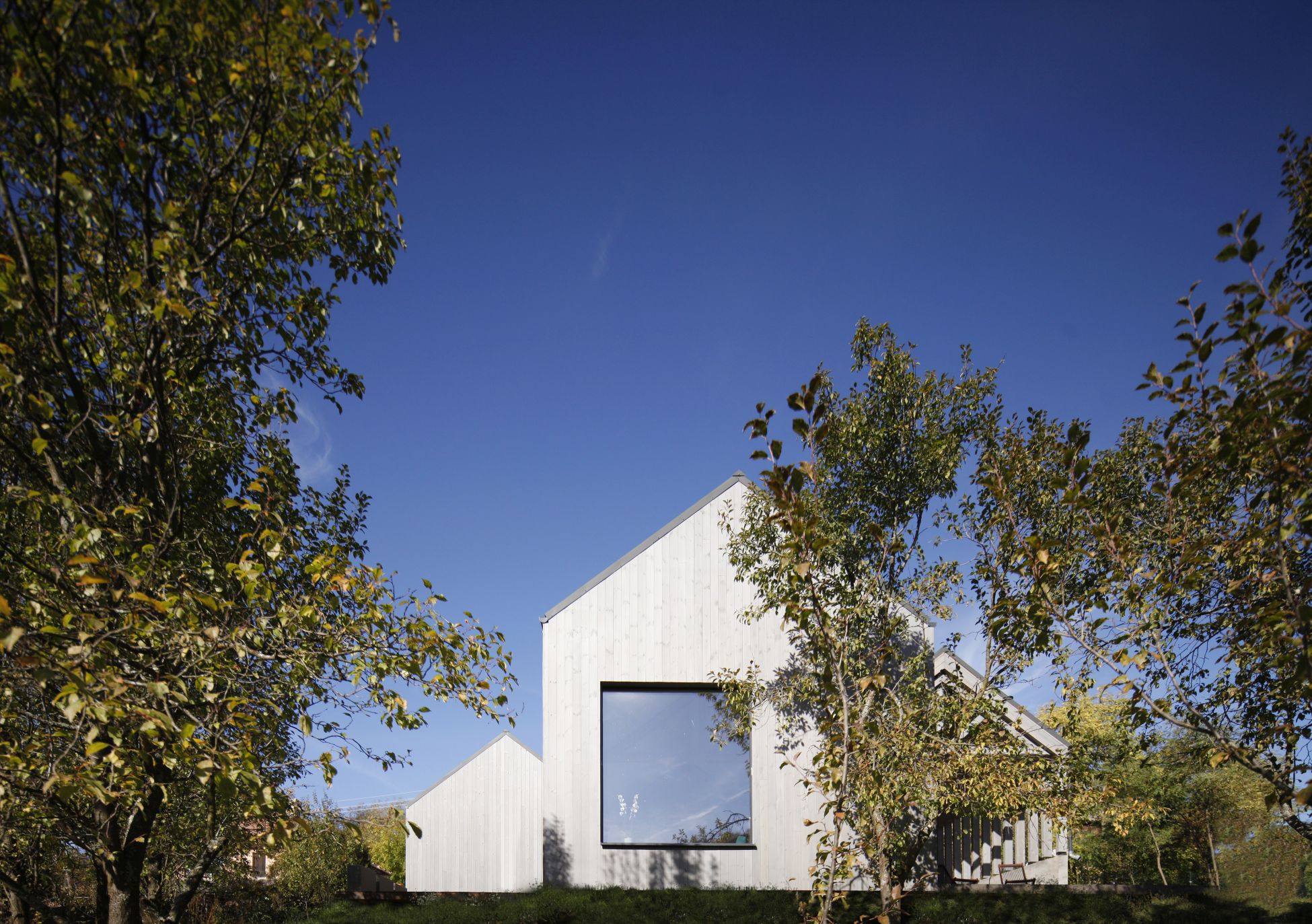 Revista Zeppelin #162 (vară 2021) – SG STUDIO SRL