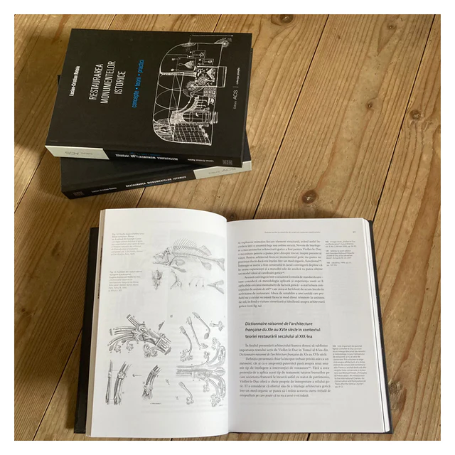 Restaurarea monumentelor istorice. Concepte, teorii, practici – Asociația Art Conservation Support (ACS)