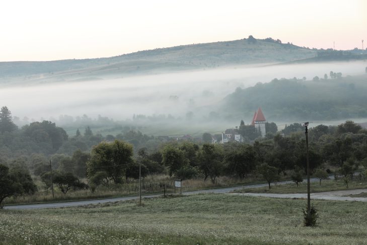 IMUAU Summer School. Schönberg 2021 – Schönberg Live Studio – Filiala Teritorială Sibiu-Vâlcea a OAR și Universitatea de Arhitectură și Urbanism „Ion Mincu” (UAUIM)