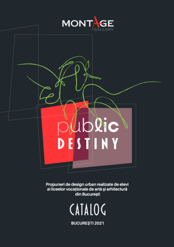 Public Destiny – Asociația Montage