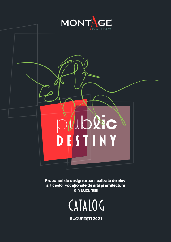 Public Destiny – Asociația Montage