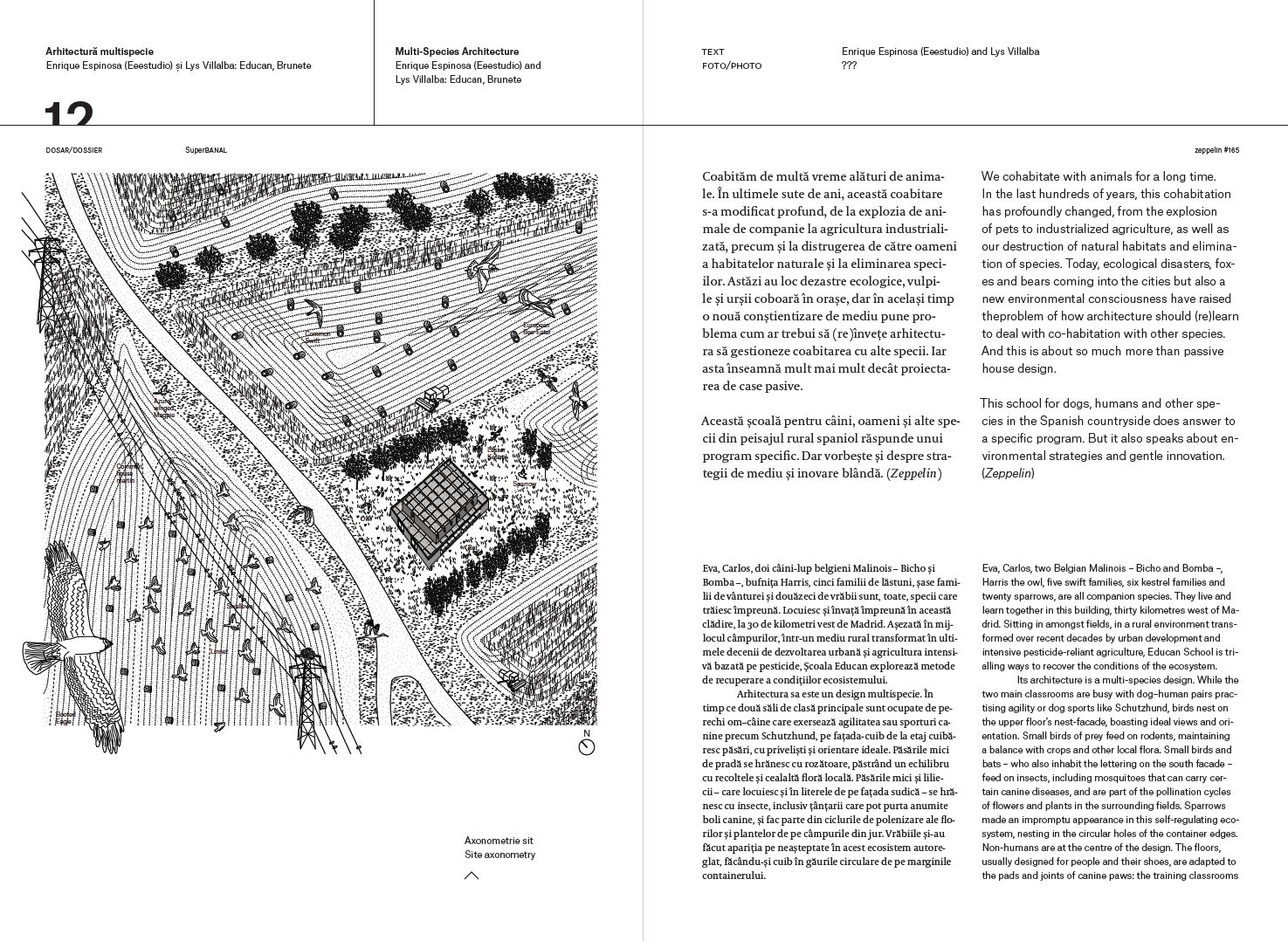 Revista Zeppelin #166 (vară 2022) – Hibrizi. Noi moduri de a coabita – SG STUDIO SRL