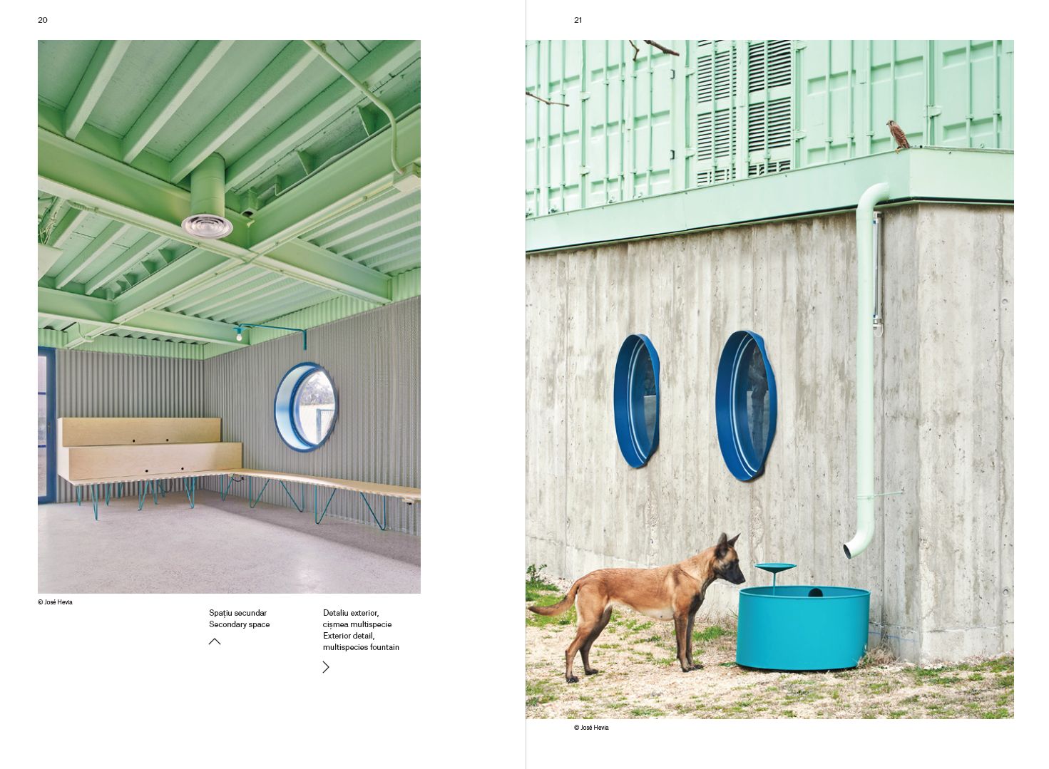 Revista Zeppelin #166 (vară 2022) – Hibrizi. Noi moduri de a coabita – SG STUDIO SRL