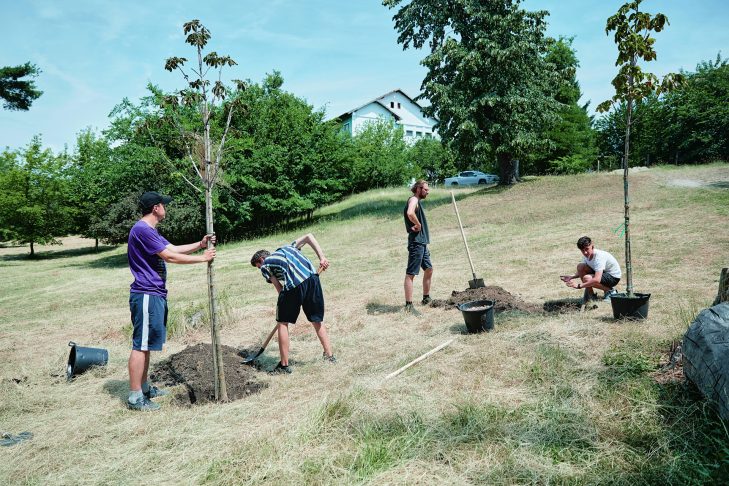 Școala de vară la Palat „ÎnFlorești” 2022 – Fundația Cantacuzino Florești