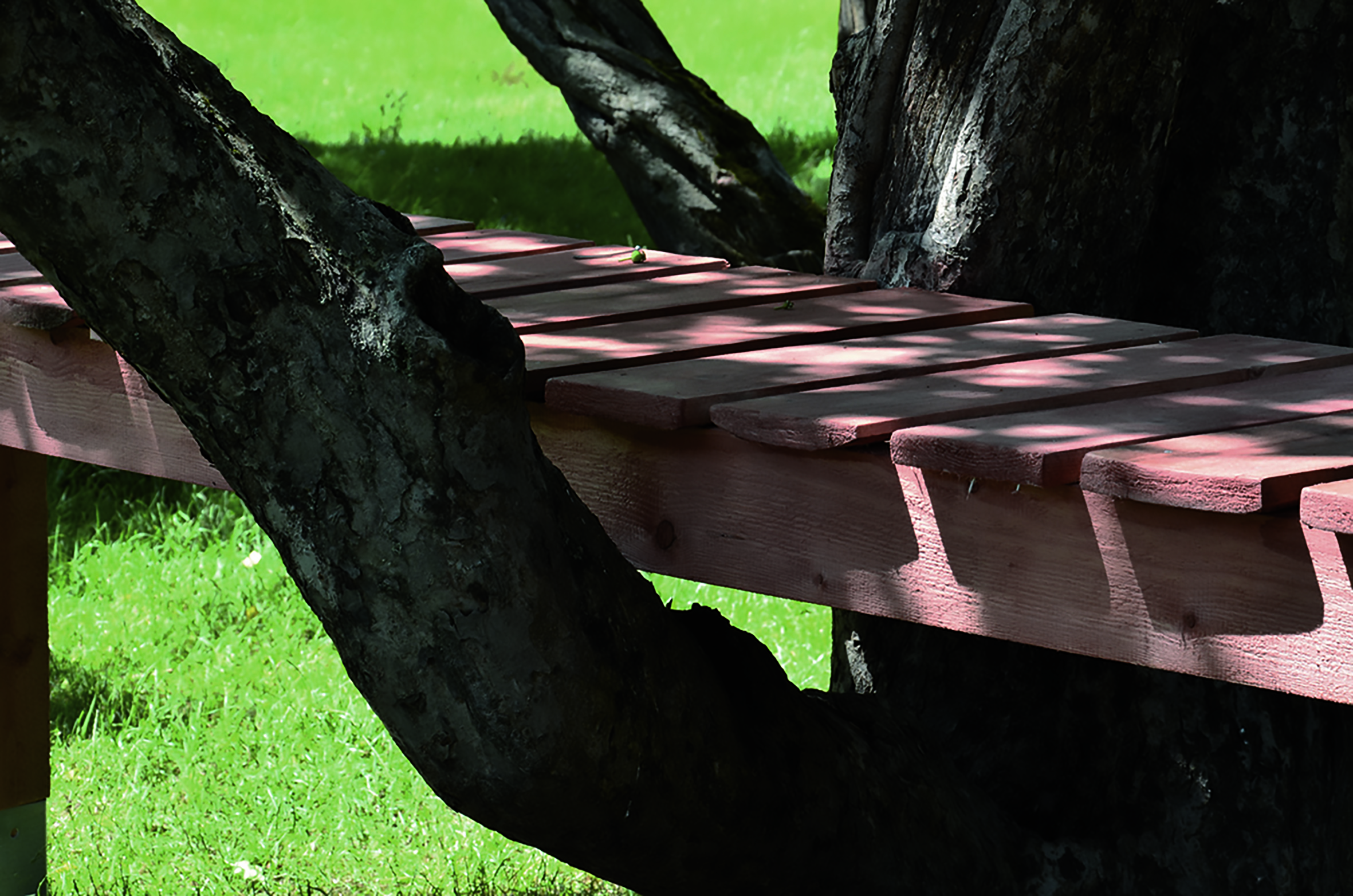 Tabăra de creație arhitecturală – Valea Uzului 2023 – Fundația Nagy István Alapitvány