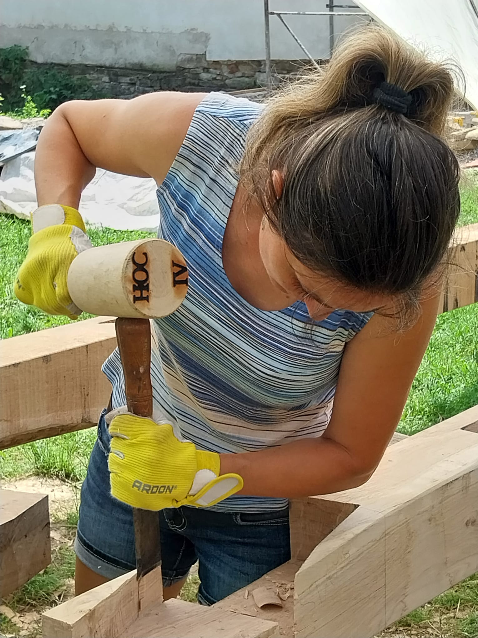 Apold Heritage Lab II – Fundația Biserici Fortificate a Bisericii Evanghelice C.A. din România