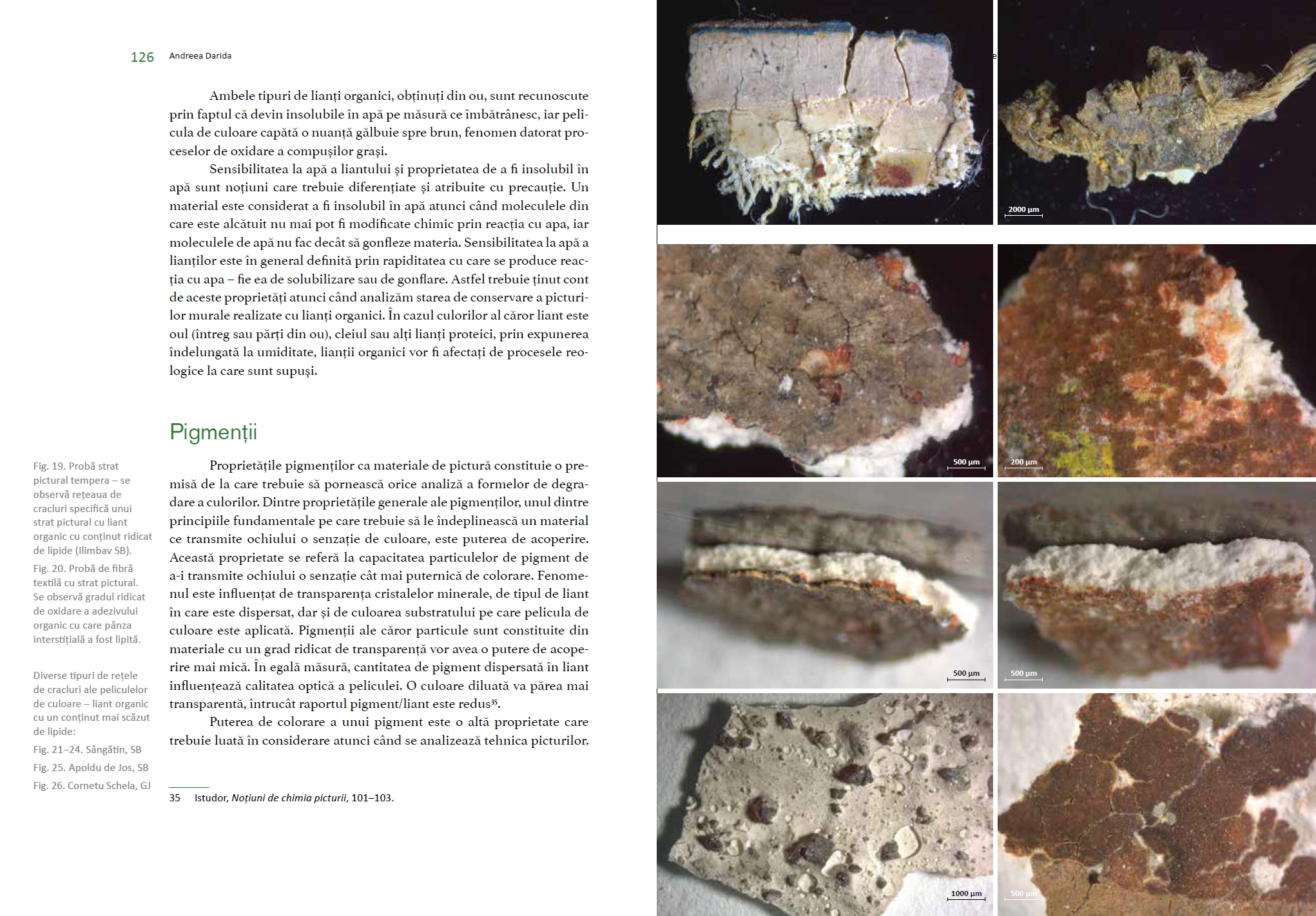 Caietele restaurării 2023 – Asociația Art Conservation Support (ACS)