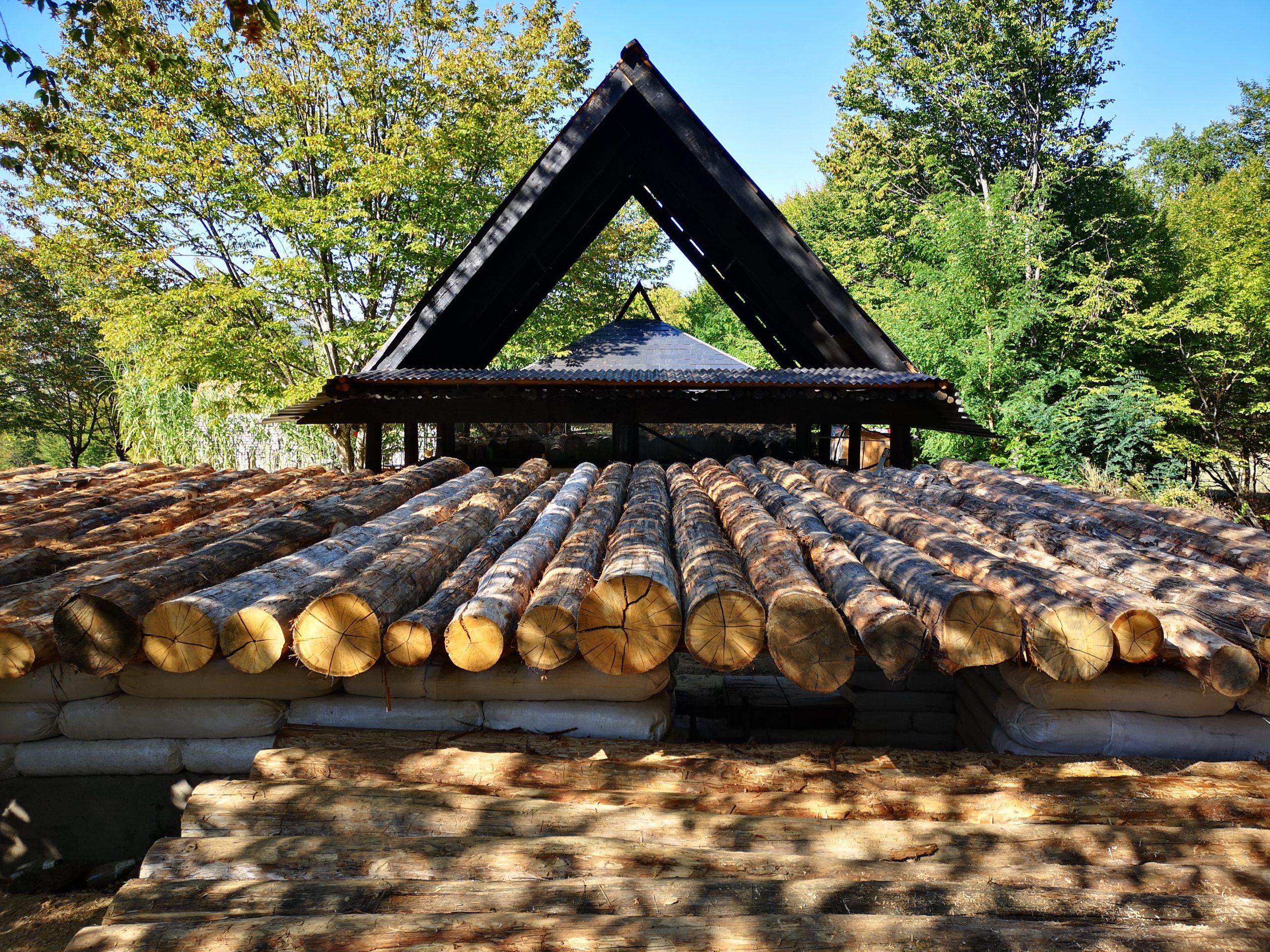 Școala de la Bunești, ediția 17, 2024 – Asociația Prietenii Școlii de la Bunești