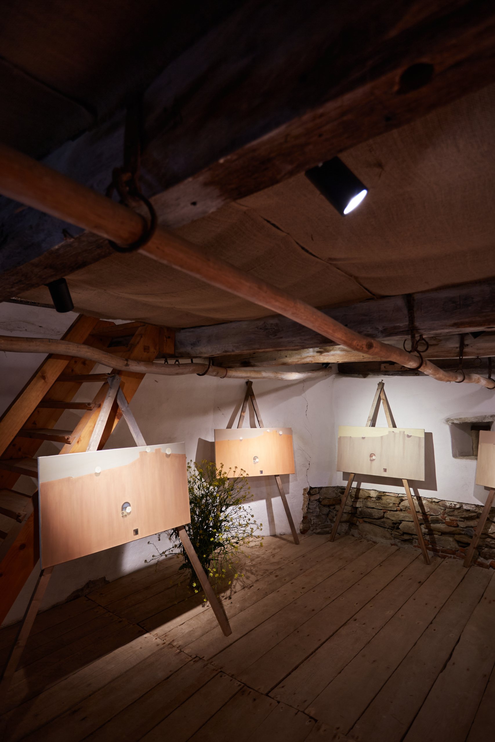 TRANS.FORT 2.0 – Conversie și reutilizare adaptivă Biserica Fortificată Apold – Asociația CasApold