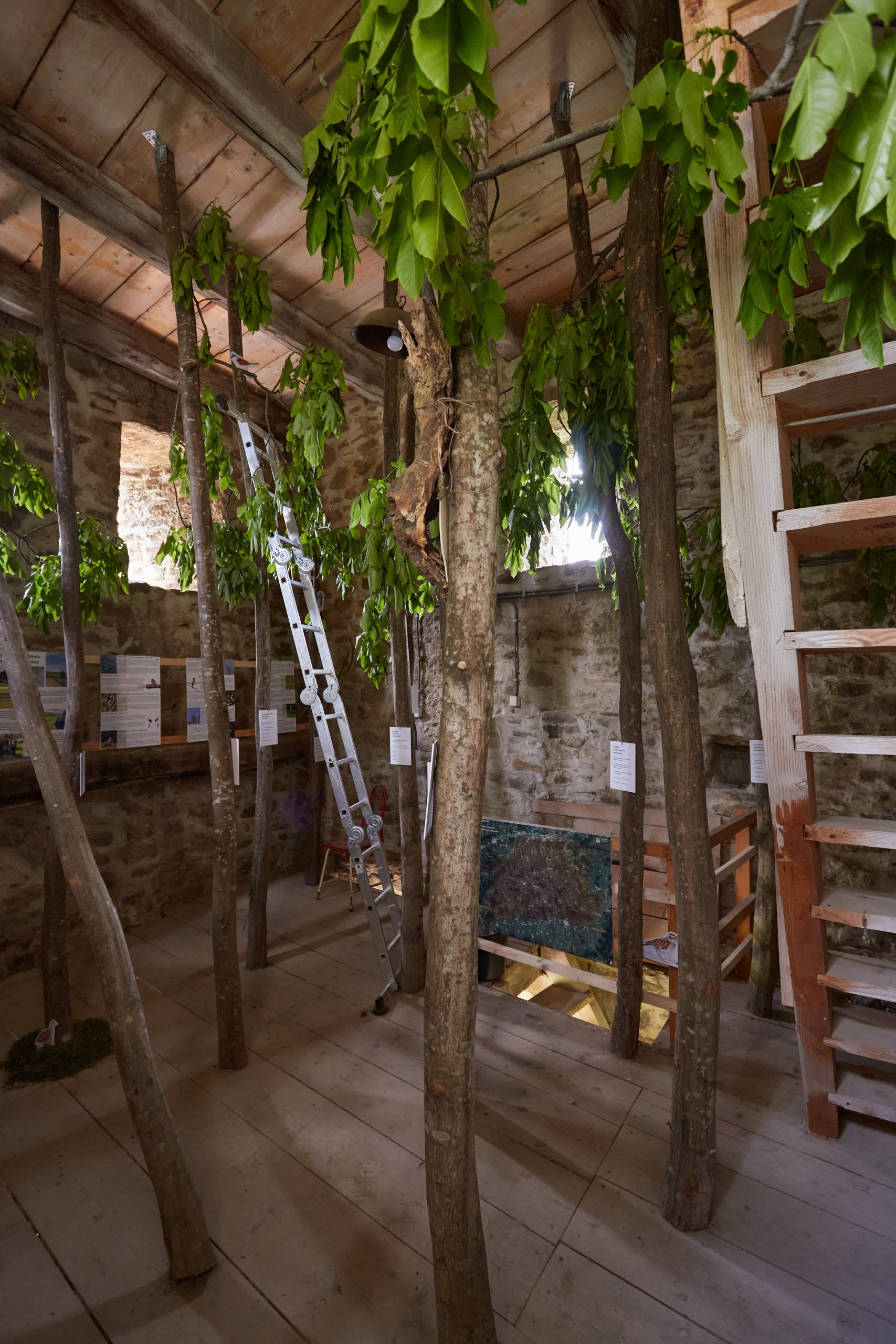 TRANS.FORT 2.0 – Conversie și reutilizare adaptivă Biserica Fortificată Apold – Asociația CasApold