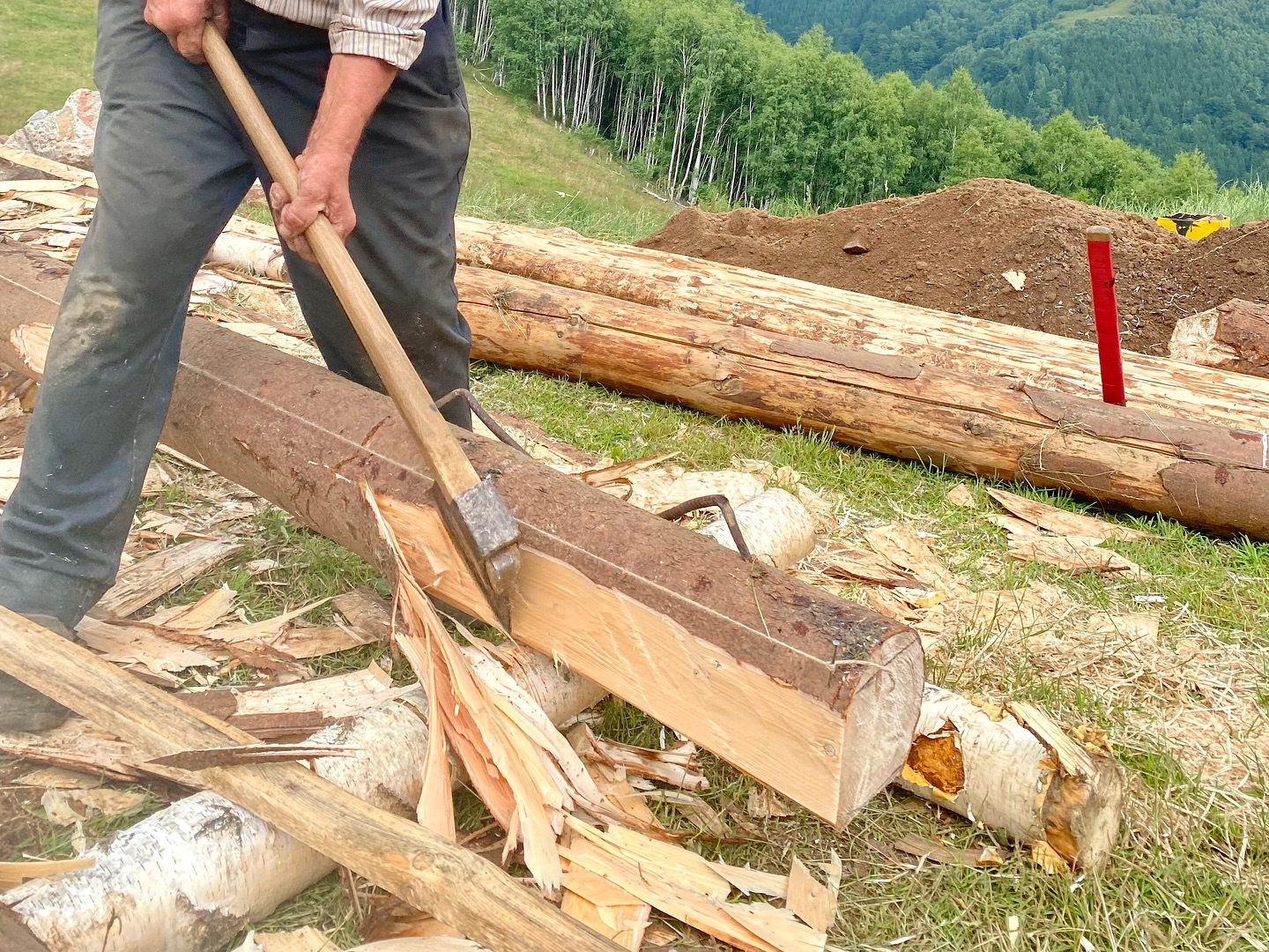 Țara Colibelor – Revitalizare peisaj și moștenire culturală montană 2025 – Asociația My Transylvania