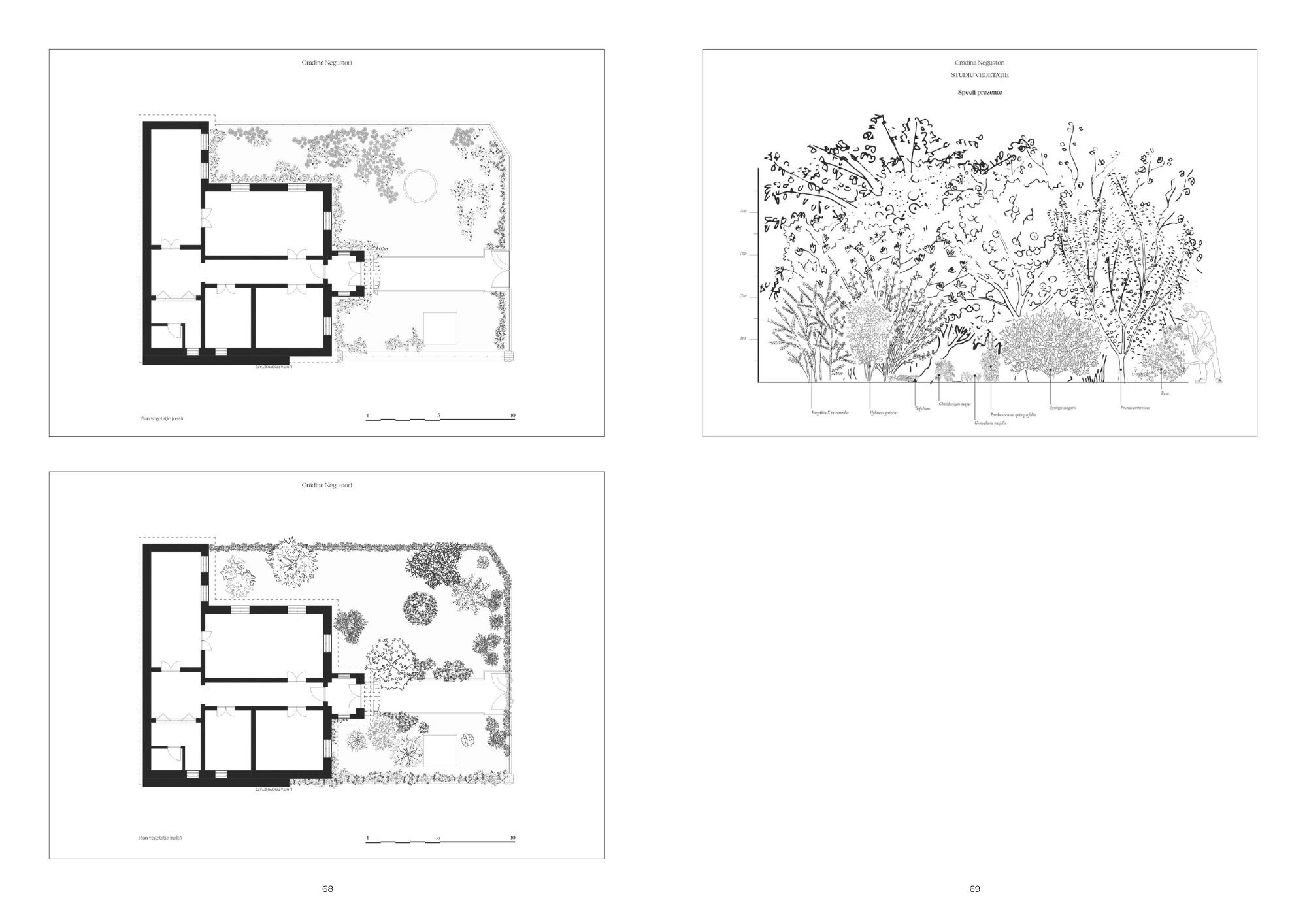 Grădini de București. Proiect de cercetare – Identitate și recuperare – SYAA ARHITECTURA SRL