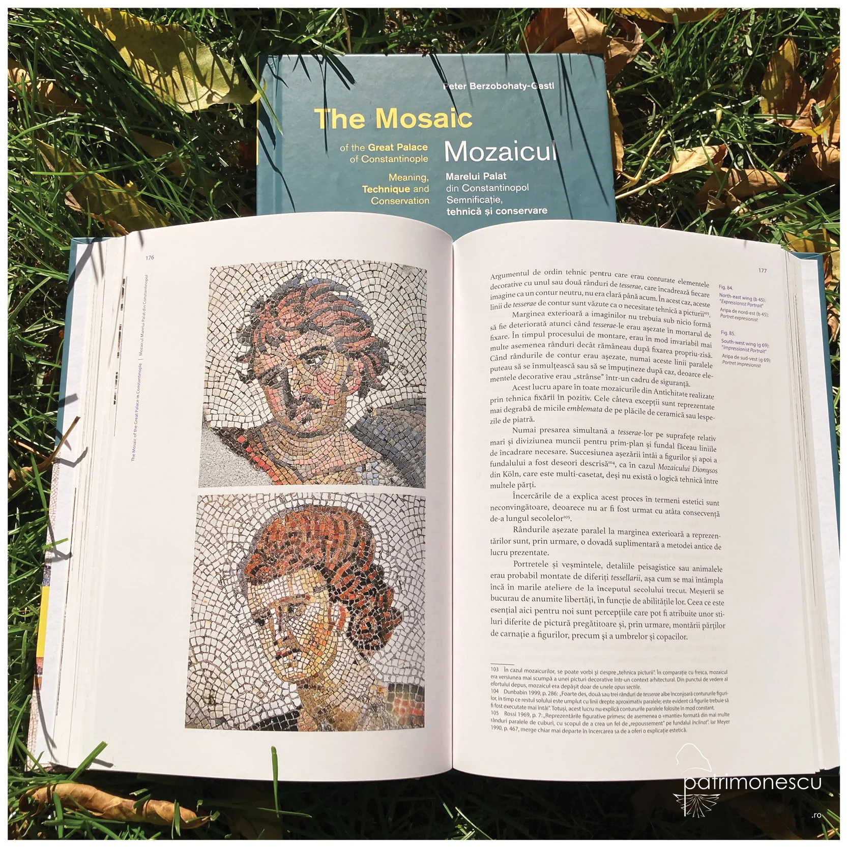 Mozaicul Marelui Palat din Constantinopol. Semnificație, tehnică și conservare/ The Mosaic of The Great Palace of Constantinopole. Meaning, Technique and Conservation – Asociația Art Conservation Support (ACS)