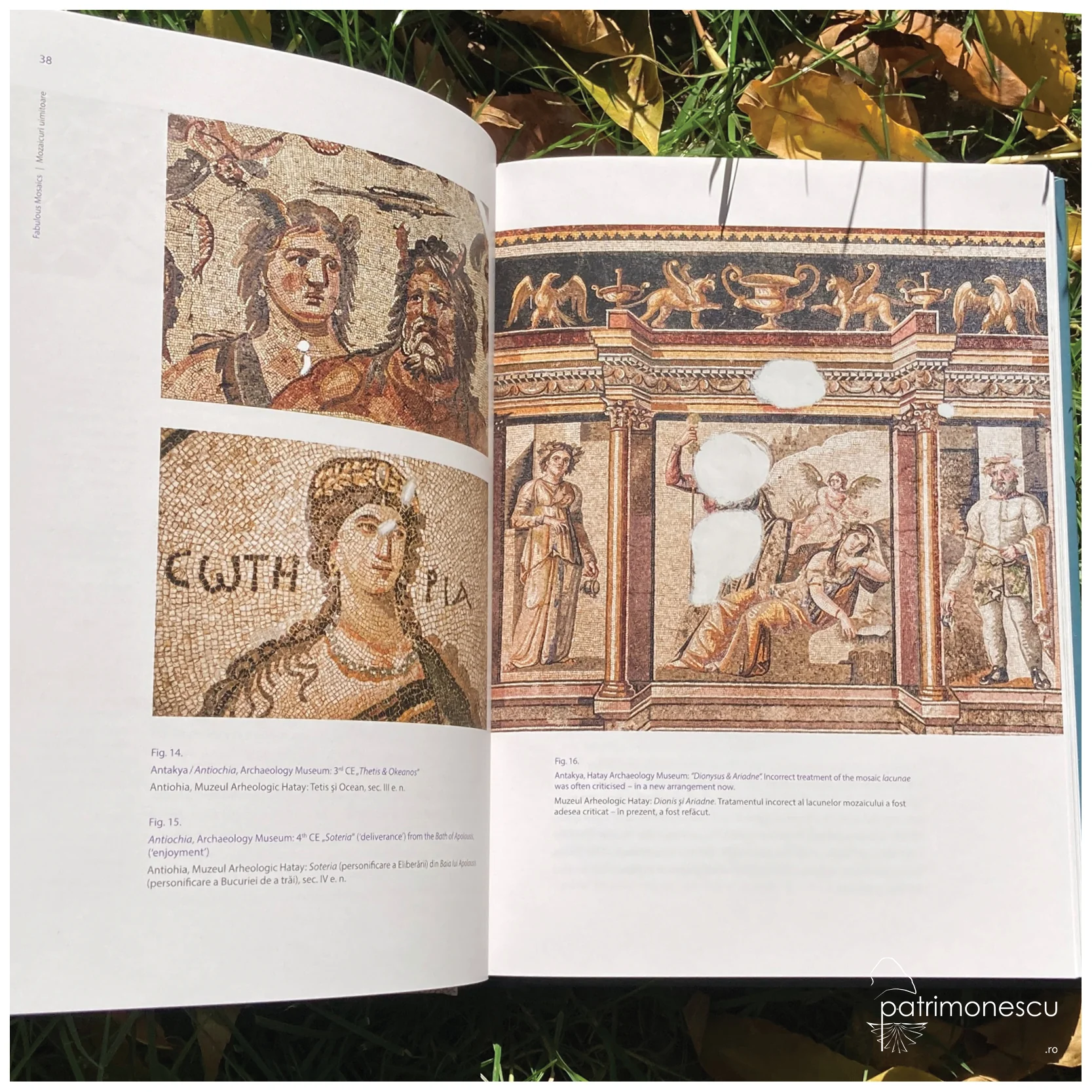 Mozaicul Marelui Palat din Constantinopol. Semnificație, tehnică și conservare/ The Mosaic of The Great Palace of Constantinopole. Meaning, Technique and Conservation – Asociația Art Conservation Support (ACS)