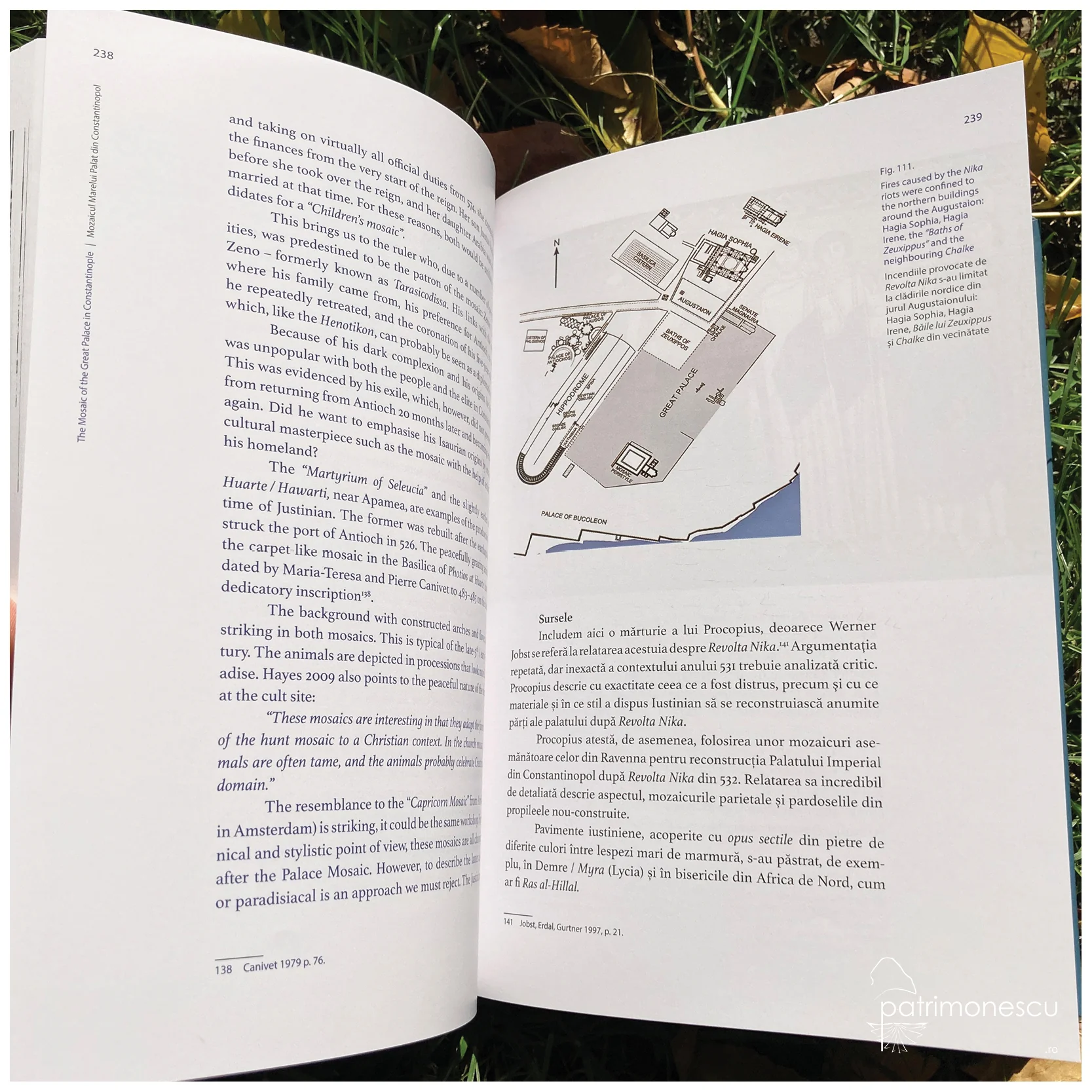 Mozaicul Marelui Palat din Constantinopol. Semnificație, tehnică și conservare/ The Mosaic of The Great Palace of Constantinopole. Meaning, Technique and Conservation – Asociația Art Conservation Support (ACS)