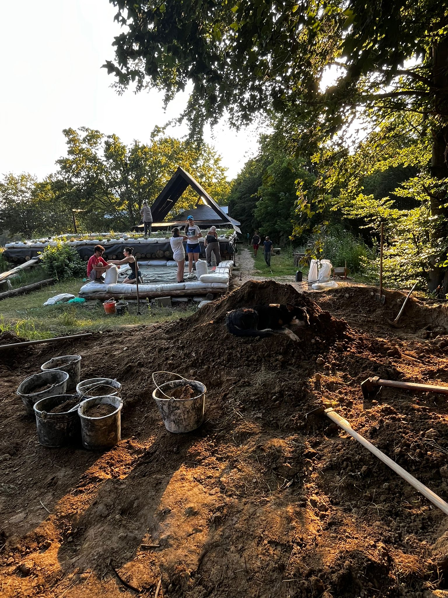 Școala de la Bunești, ediția 18, 2025 – Asociația Prietenii Școlii de la Bunești