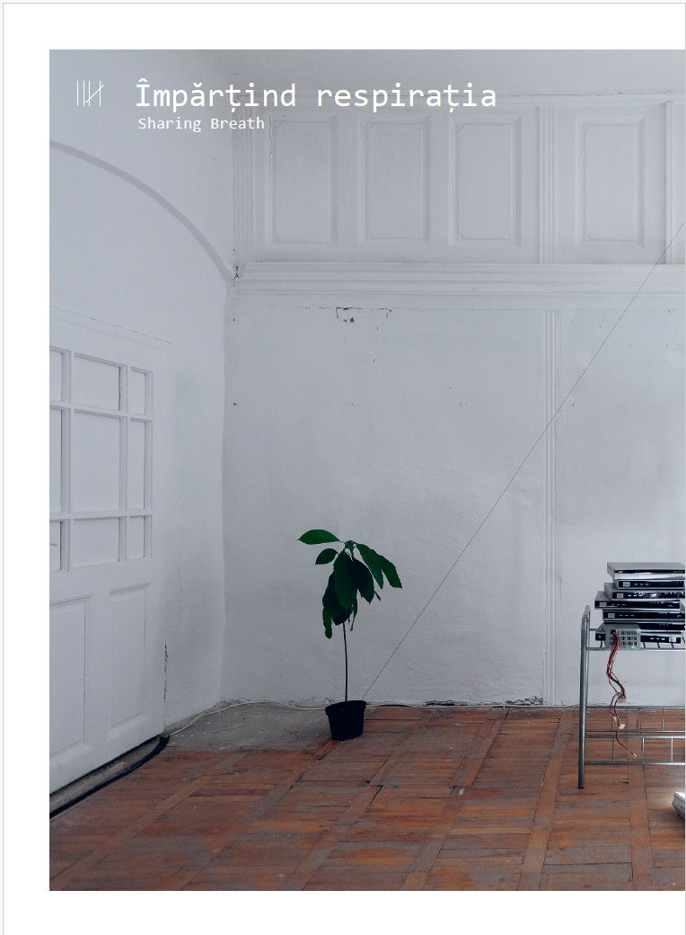 What about you – Editura CONTRASENS