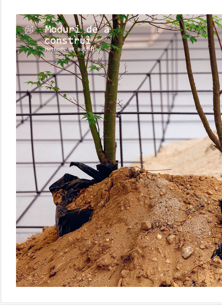 What about you – Editura CONTRASENS