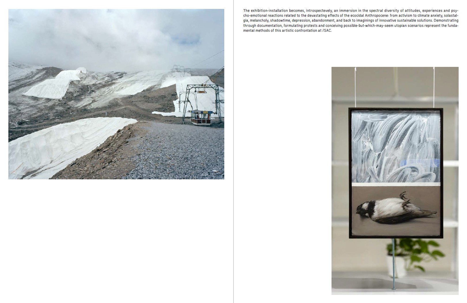 Touch Nature @ /SAC Bucharest – Asociația Spațiul de Artă Contemopană (/SAC)