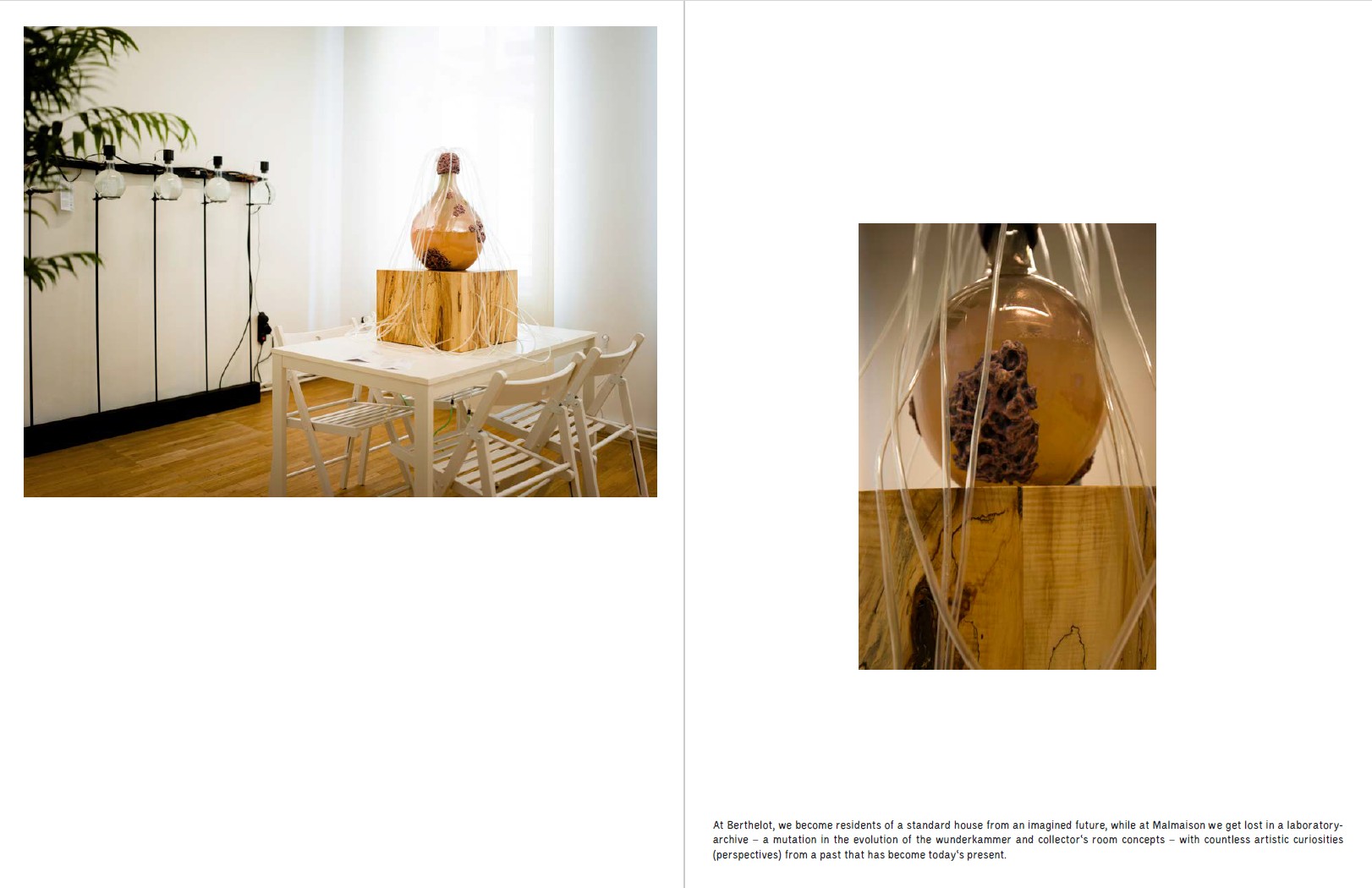 Touch Nature @ /SAC Bucharest – Asociația Spațiul de Artă Contemopană (/SAC)