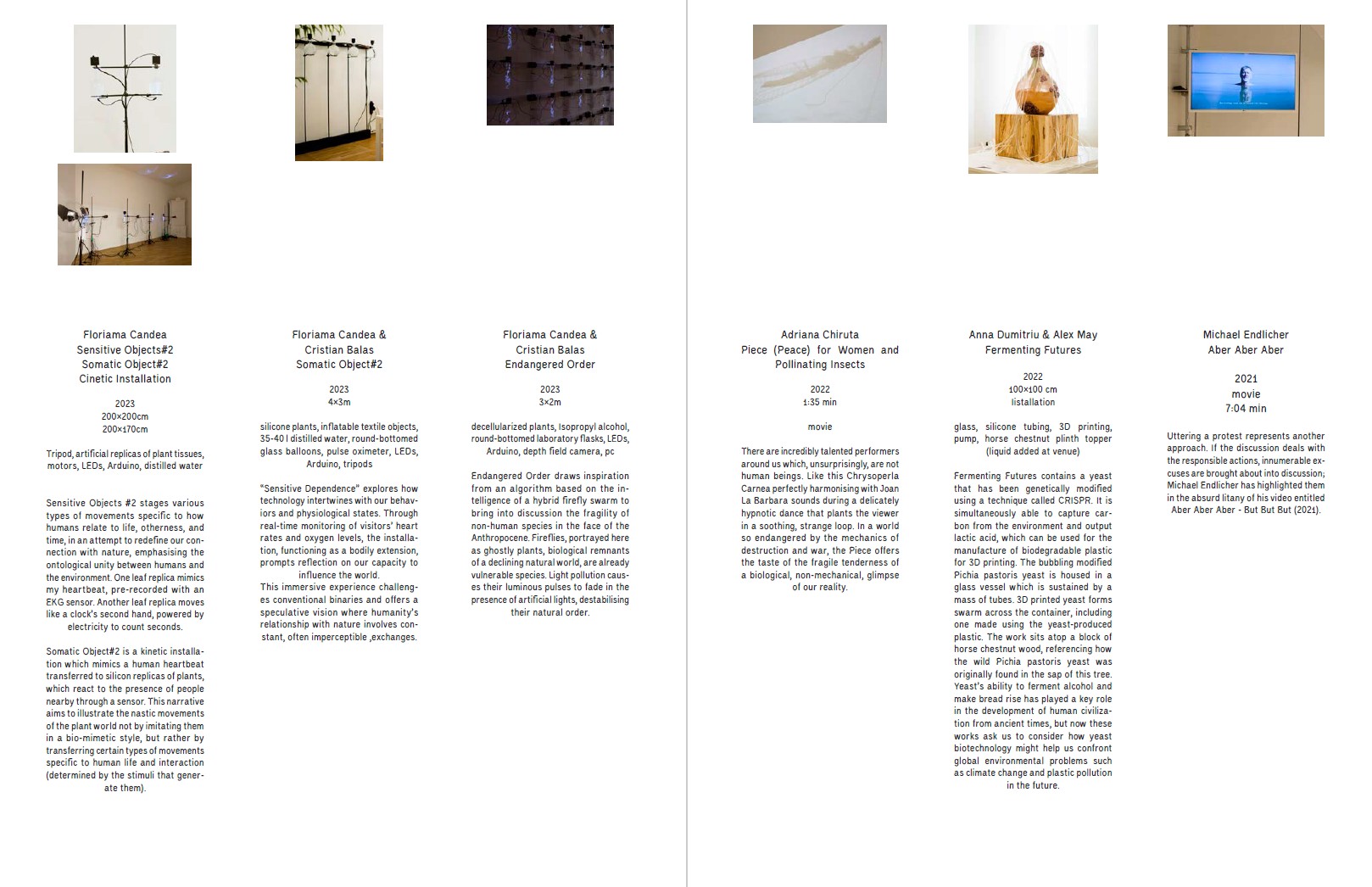 Touch Nature @ /SAC Bucharest – Asociația Spațiul de Artă Contemopană (/SAC)