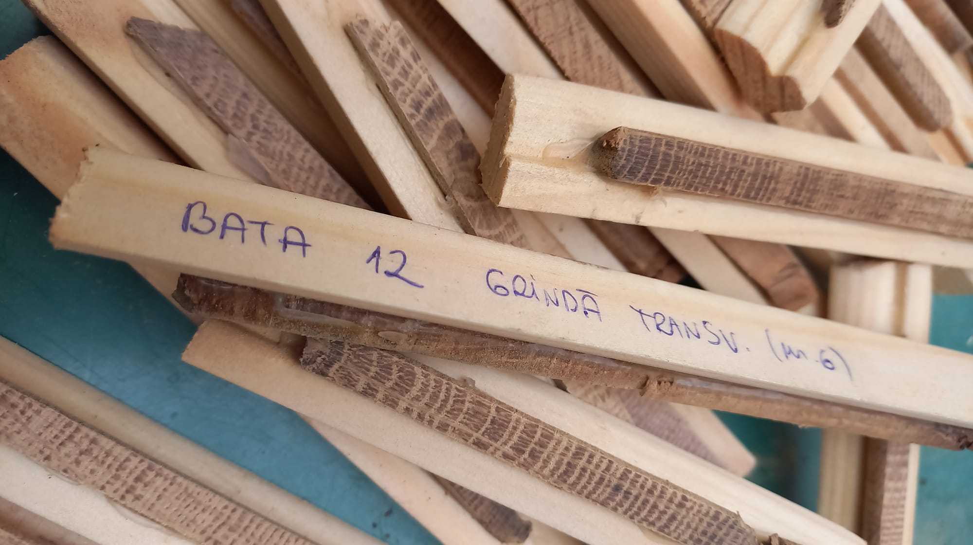 Seria dendrocronologică a stejarului, pentru datarea patrimoniului cultural din lemn, pentru Câmpia de Vest – Asociația Biserici Înlemnite