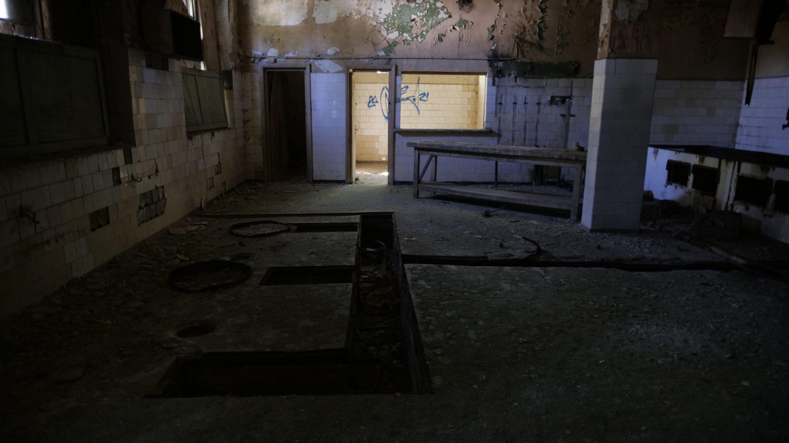 Evoluția arhitecturii balneoclimaterice și a turismului medical accesibil în Stațiunea Amara – Asociația Vira