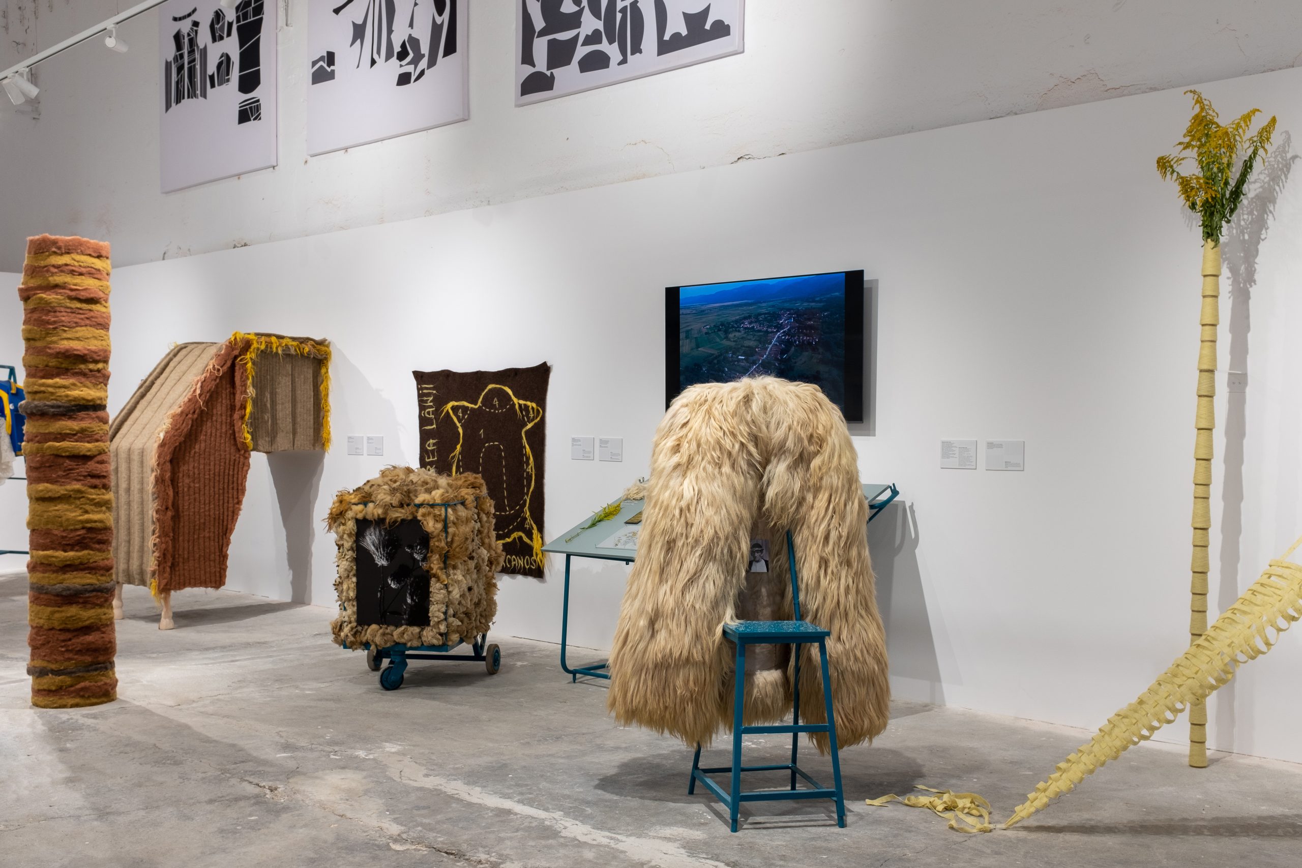 Woven Secrets (Secrete întrețesute) – Asociația FABER