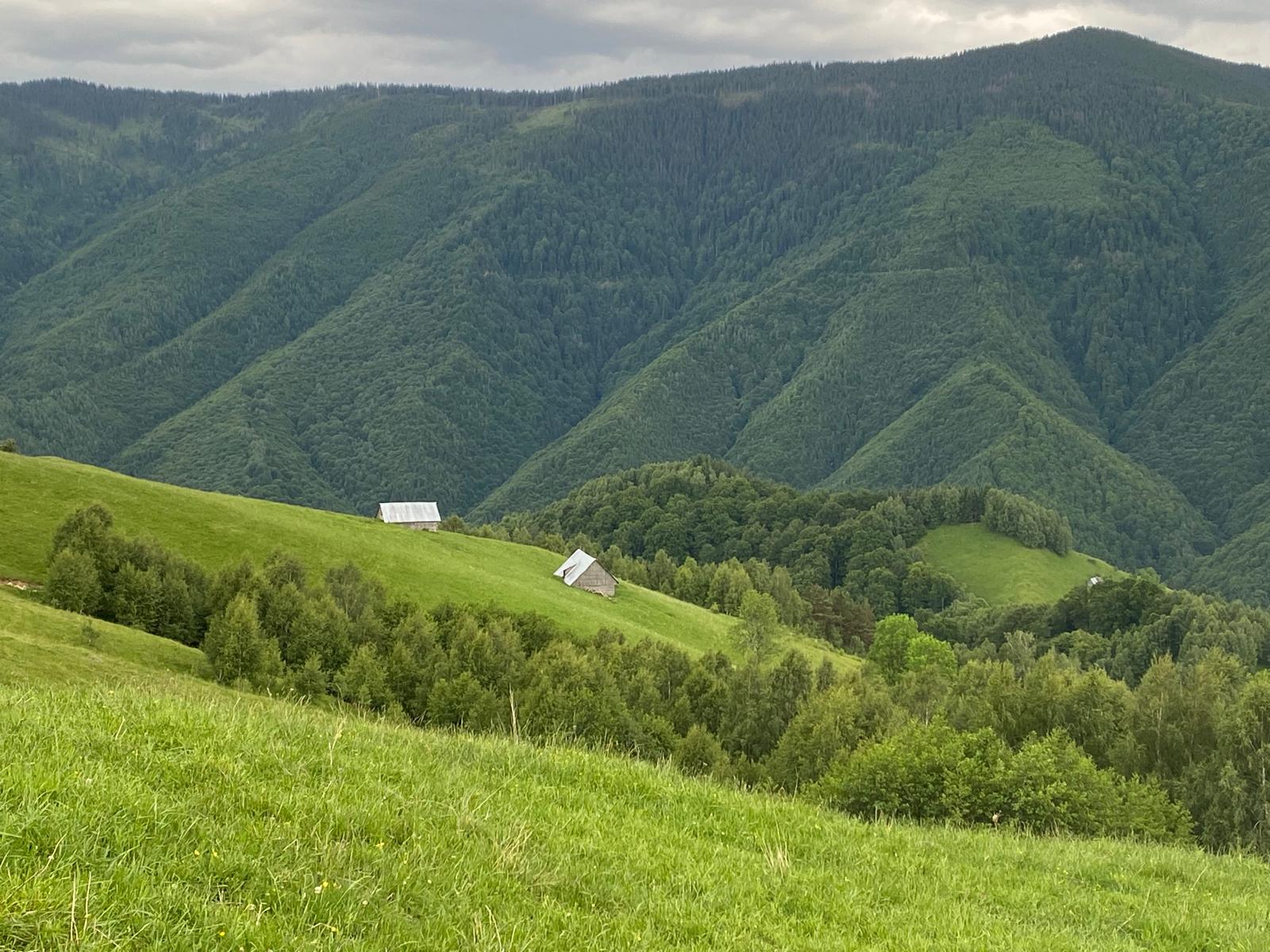 Țara Colibelor – Revitalizare peisaj și moștenire culturală montană 2024 – Asociația My Transylvania