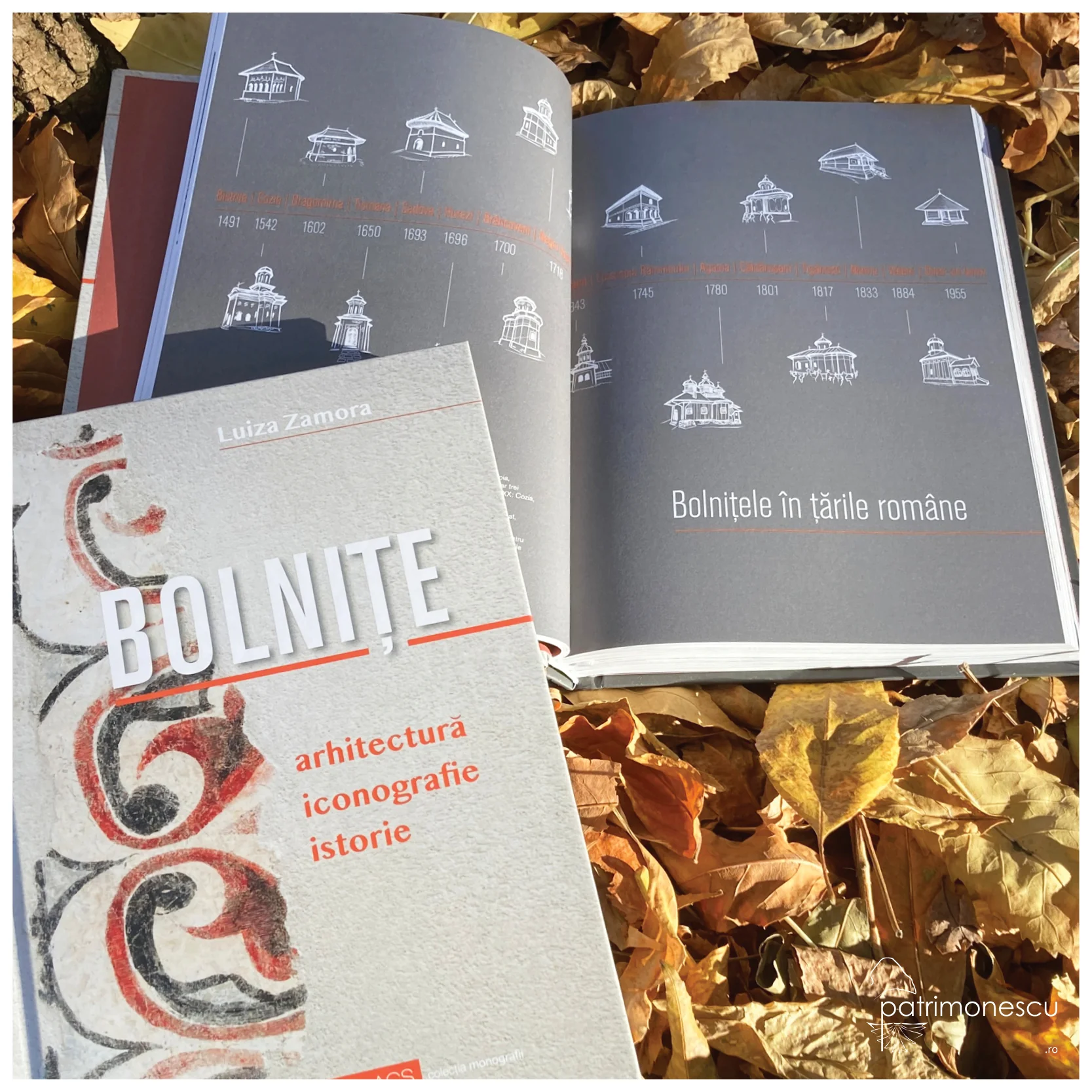 Bolnițe. Arhitectură, iconografie, istorie – Asociația Art Conservation Support (ACS)