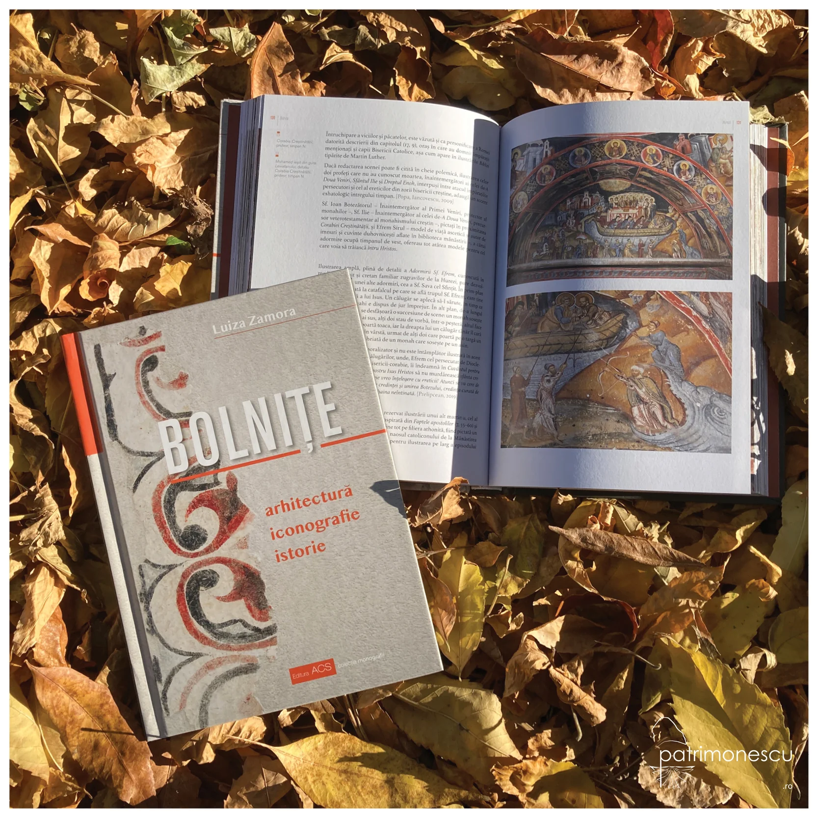 Bolnițe. Arhitectură, iconografie, istorie – Asociația Art Conservation Support (ACS)