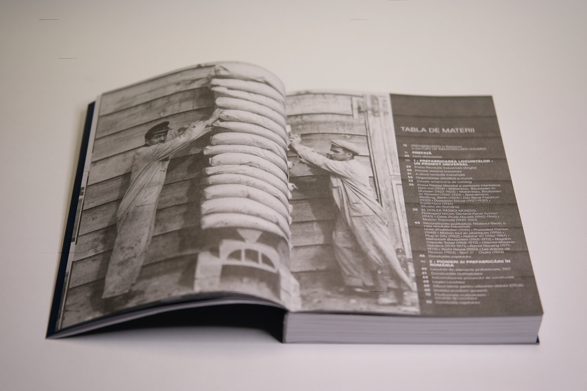 Prefabricat în România. Un secol de industrializare a construcției de locuințe – Positif Concept/ Editura Ozalid