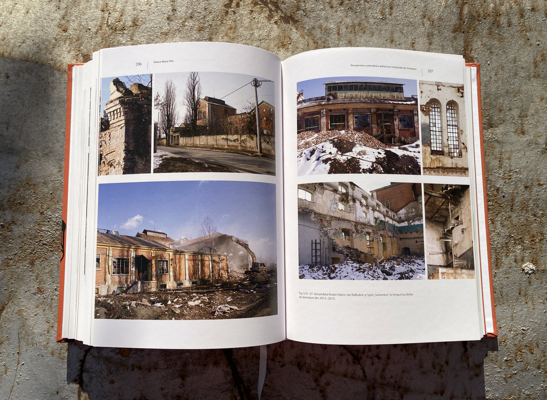 Arhitectura industrială istorică. Posibilități de recuperare sustenabilă. Cazul Timișoara – Asociația Art Conservation Support (ACS)