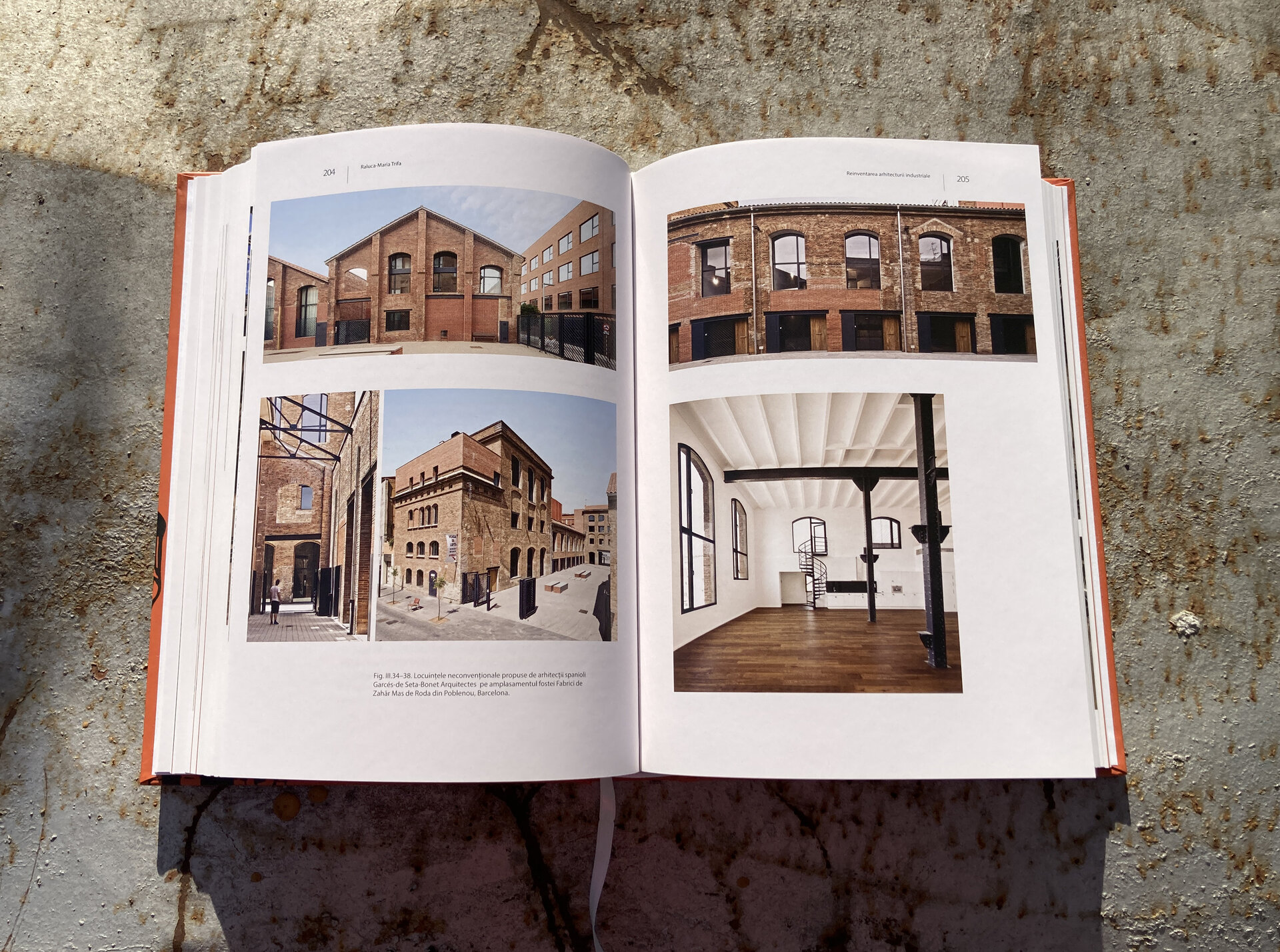 Arhitectura industrială istorică. Posibilități de recuperare sustenabilă. Cazul Timișoara – Asociația Art Conservation Support (ACS)