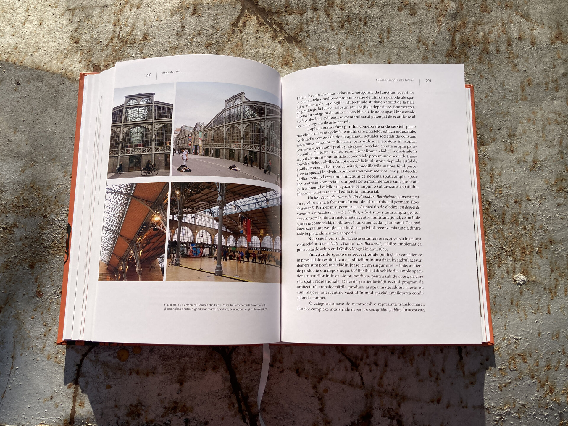 Arhitectura industrială istorică. Posibilități de recuperare sustenabilă. Cazul Timișoara – Asociația Art Conservation Support (ACS)