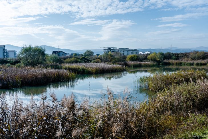 Consiliul Apei. Platformă de discuții deschisă pentru abordarea integrată a culoarului Someșului la nivel metropolitan – Asociația MiniMASS