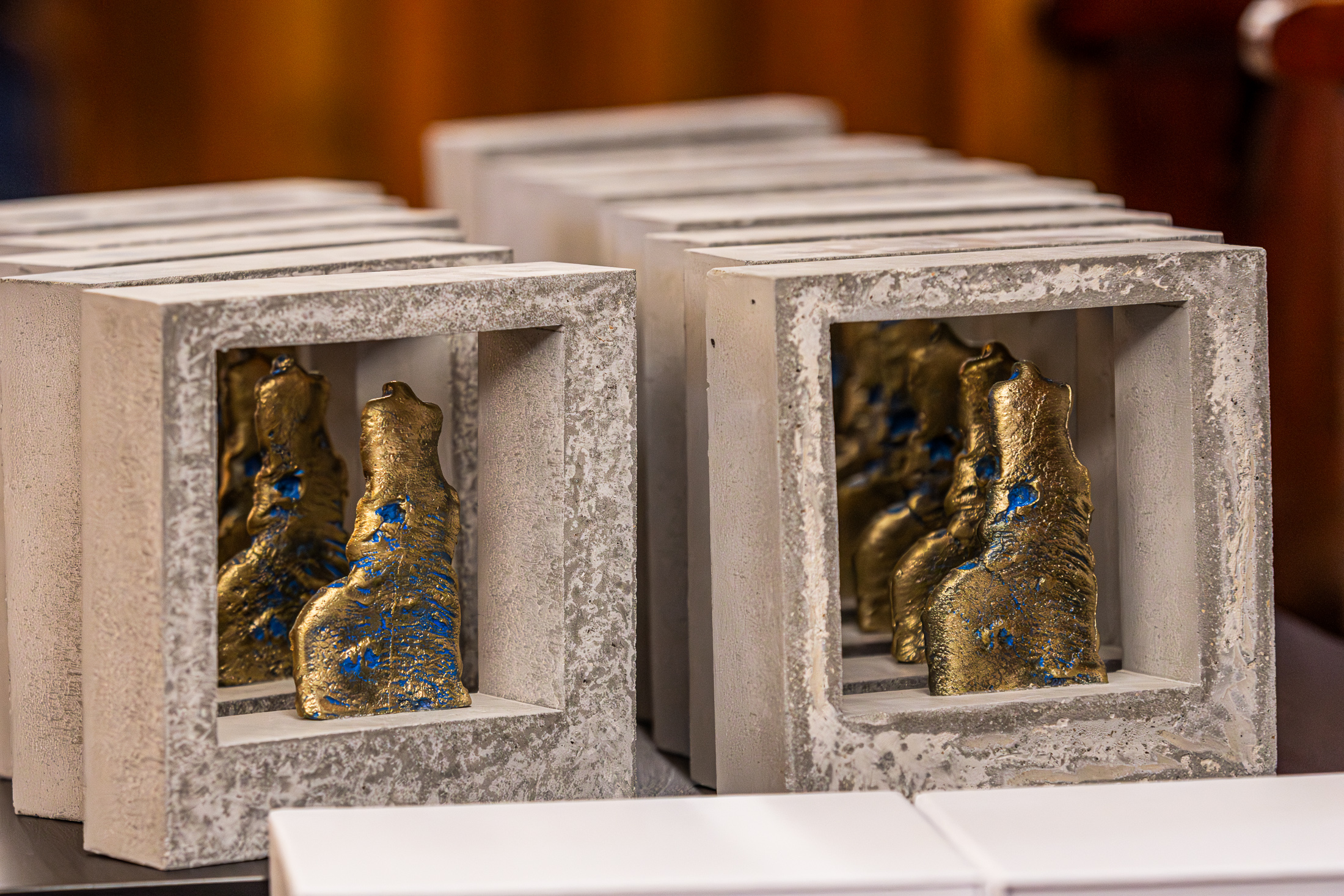 Bienala de Arhitectură Transilvania 2025 (BATRA 2025) – Filiala Teritorială Transilvania a OAR