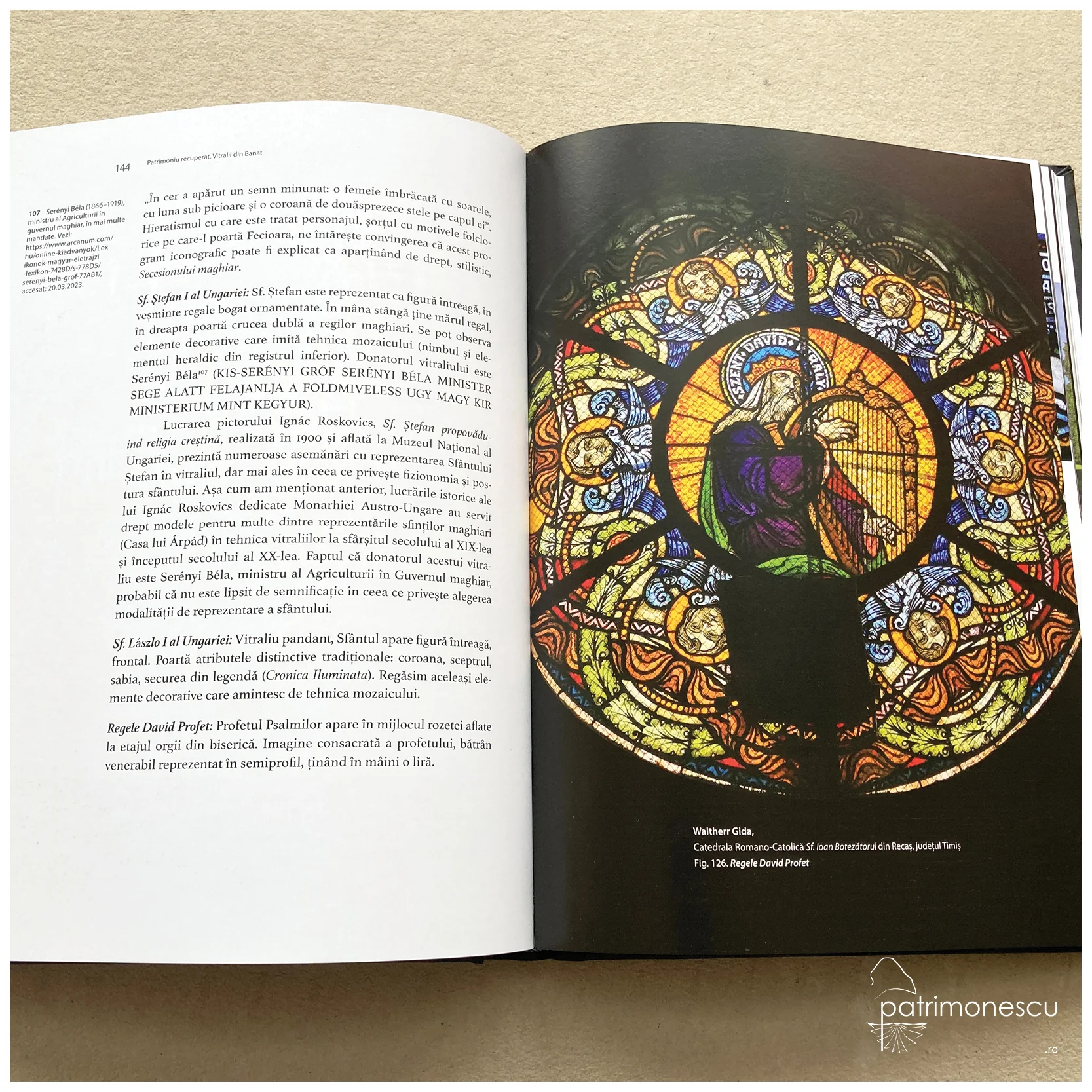 Patrimoniu recuperat. Vitralii din Banat. Secolele XIX-XX – Asociația Art Conservation Support (ACS)