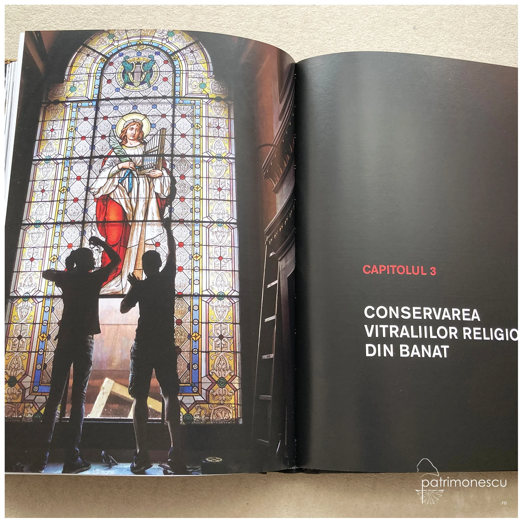 Patrimoniu recuperat. Vitralii din Banat. Secolele XIX-XX – Asociația Art Conservation Support (ACS)