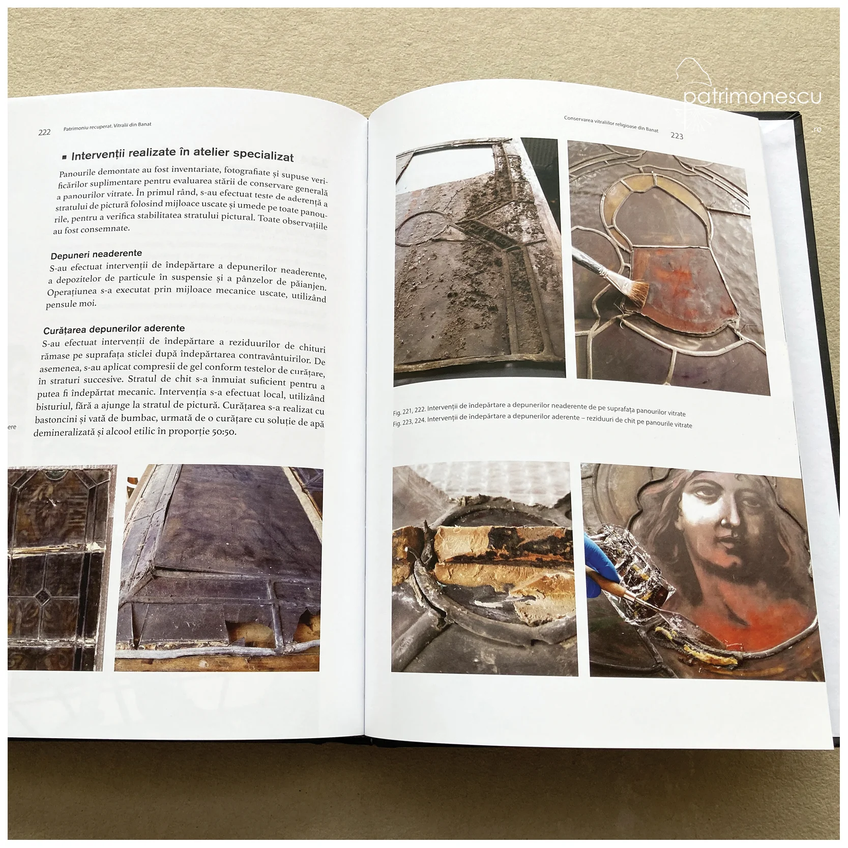 Patrimoniu recuperat. Vitralii din Banat. Secolele XIX-XX – Asociația Art Conservation Support (ACS)