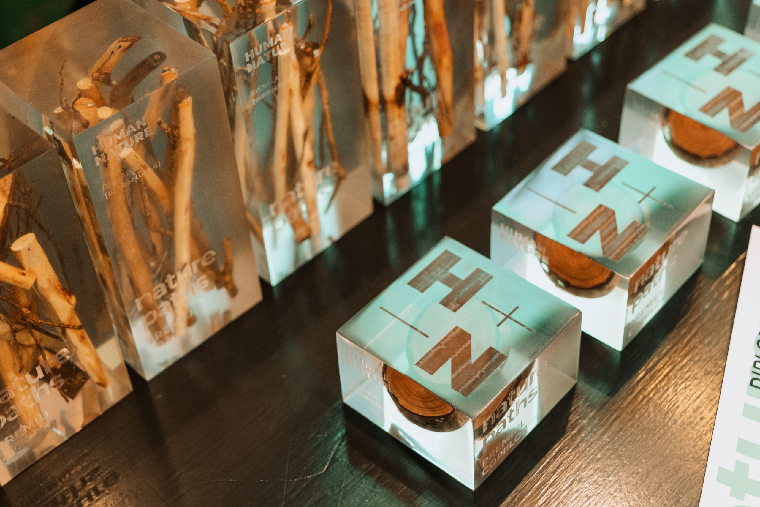 Bienala de Arhitectură [arhitectura.6] 2024  – Filiala Teritorială Brașov-Covasna-Harghita a OAR