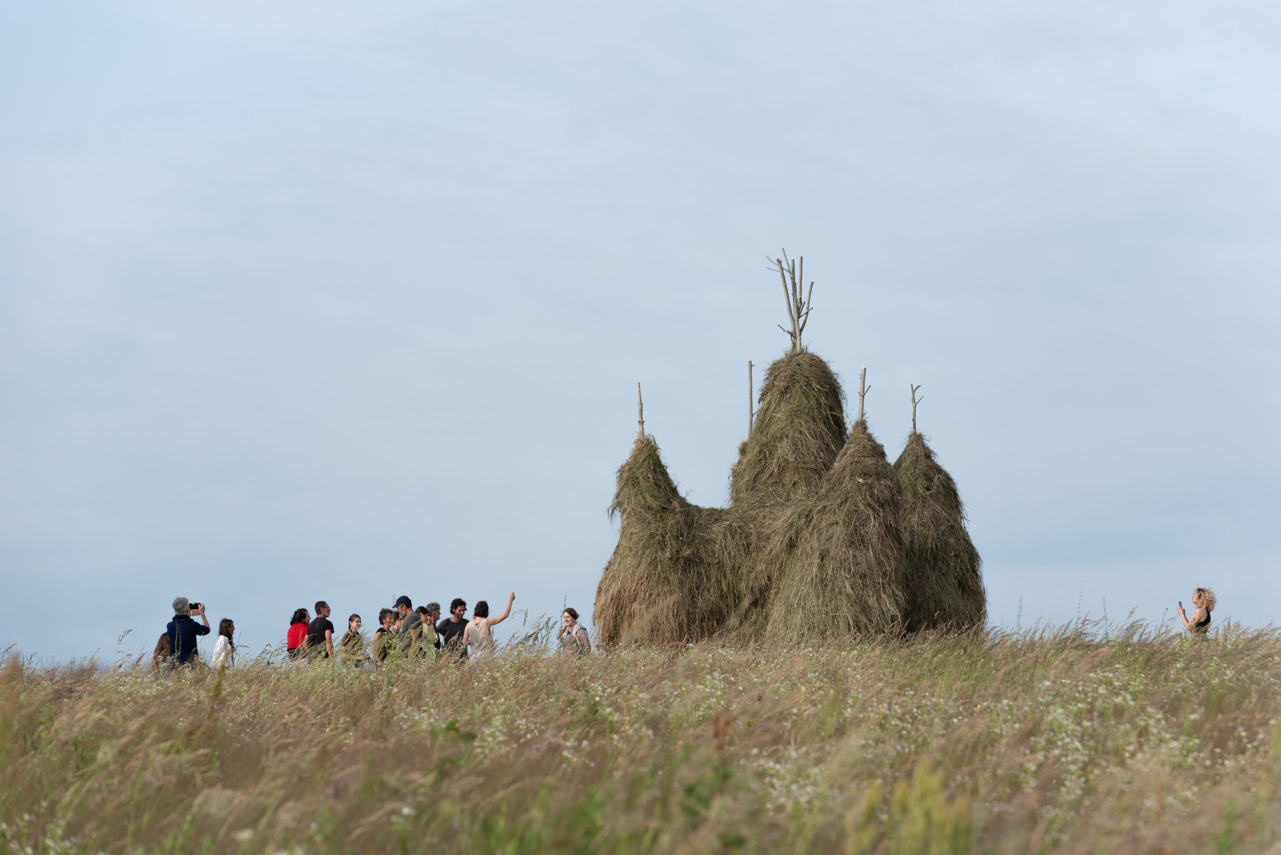 SHiLA – Sacred Spaces/Land art, architecture and music – Fundația Archaeus