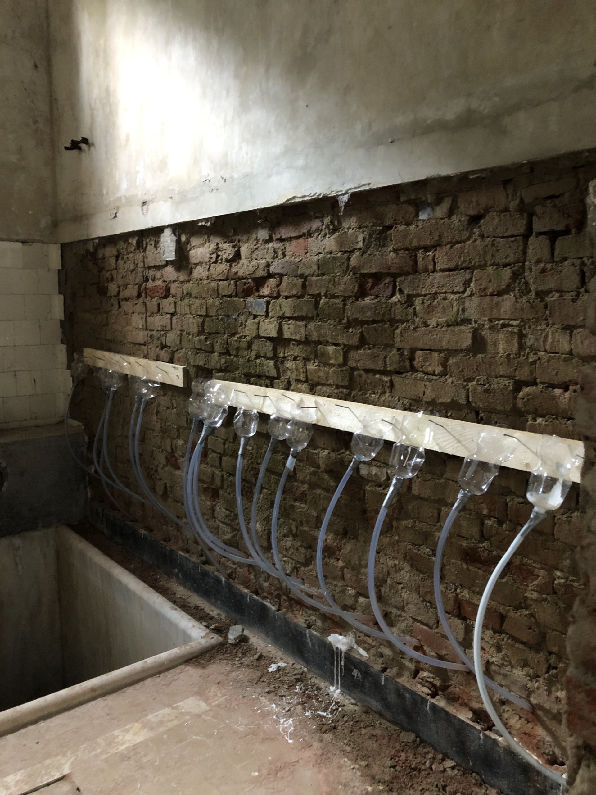 Baia de Arhitectură – Ediția IV – Asociația LOCUS