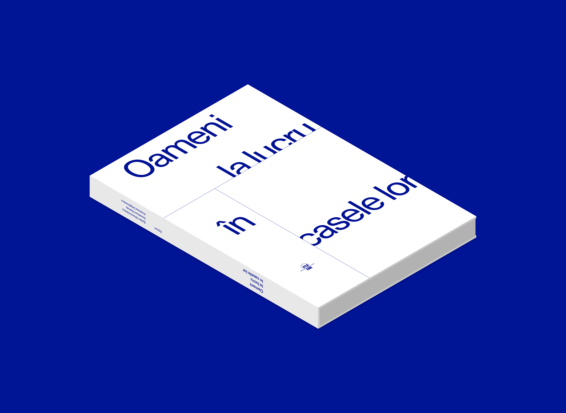 Oameni la lucru în casele lor – SG STUDIO SRL